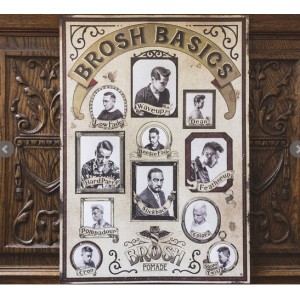 Brosh Basics Poster