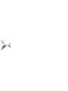 Rocnel